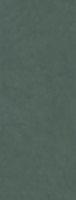 Surface Laboratory/Конкрит зеленый матовый обрезной 119,5x320x1,1