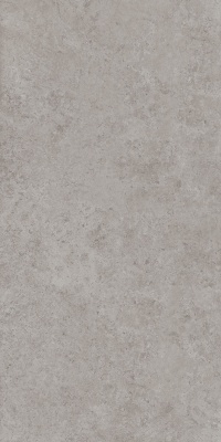 Про Лаймстоун АТ серый натуральный обрезной 119,5x238,5x0,9 Про Лаймстоун АТ серый натуральный обрезной 119,5x238,5x0,9