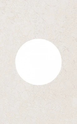 Декор Сорбонна наборный матовый 25x40x0,8