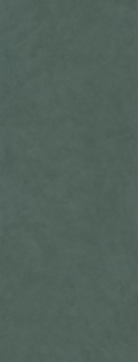 Surface Laboratory/Конкрит зеленый матовый обрезной 119,5x320x0,6