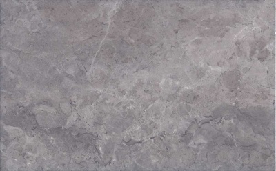 Мармион серый глянцевый 25x40x0,8