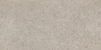 Риккарди бежевый матовый обрезной 60x119,5x0,9