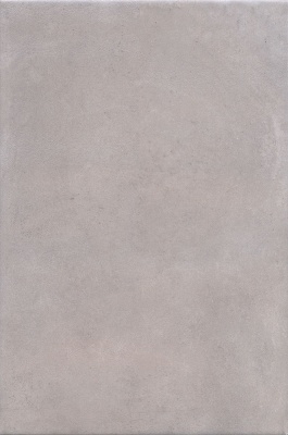 Александрия серый матовый 20x30x0,69