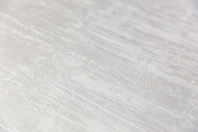 Обои виниловые Оранжерея база, белый