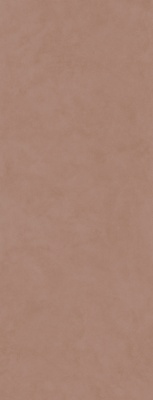 Surface Laboratory/Конкрит коричневый светлый матовый обрезной 119,5x320x1,1 Surface Laboratory/Конкрит коричневый светлый матовый обрезной 119,5x320x1,1