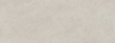 Монсанту серый светлый глянцевый 15x40x0,8