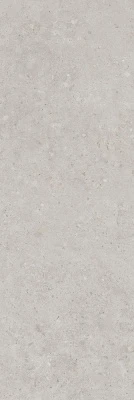 Риккарди серый светлый матовый обрезной 40x120x1