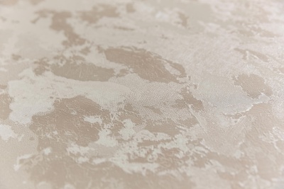 Обои виниловые Экзотика база, светлый бежевый Обои виниловые Экзотика база, светлый бежевый