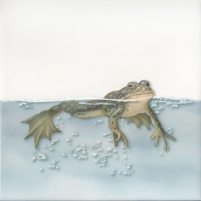 Декор Чудо-озеро 5 20x20x0,69